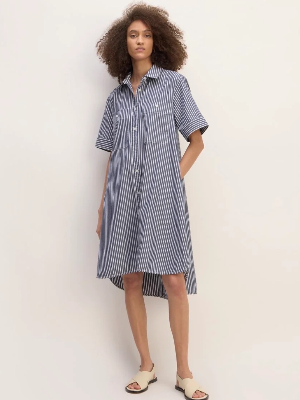 Everlane Blue and White Striped Daytripper High-Low Shirt Dress